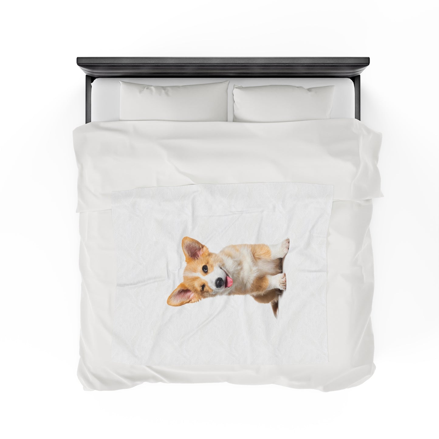 Velveteen Plush Blanket