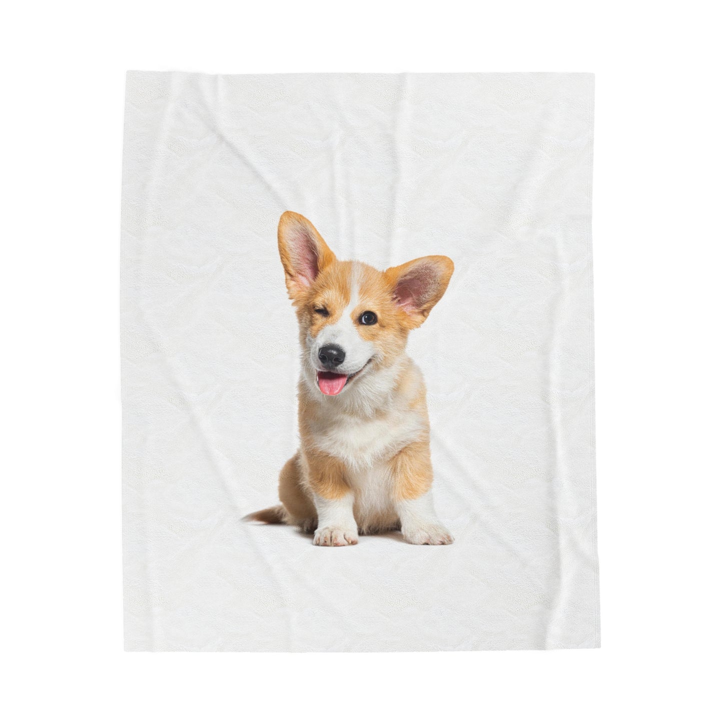 Velveteen Plush Blanket