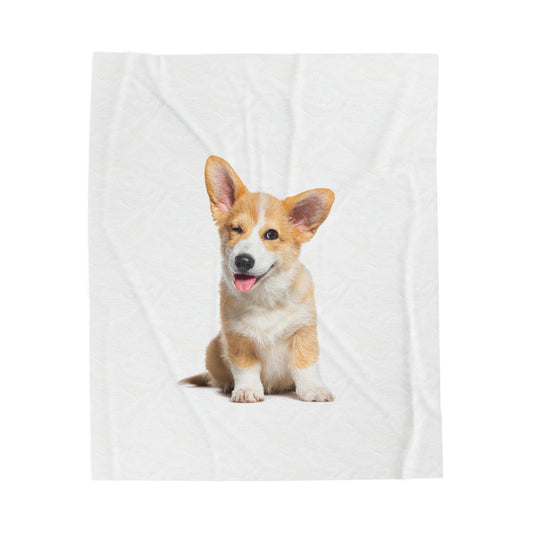 Velveteen Plush Blanket